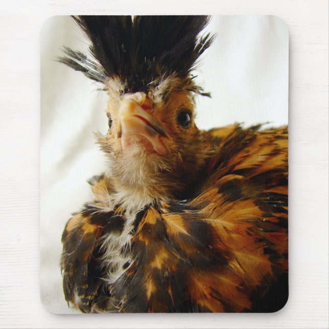 Young Polish Mouse Mat (Front)