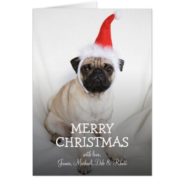 Young pug wearing Santa hat (Front)
