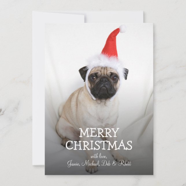 Young pug wearing Santa hat Holiday Card (Front)