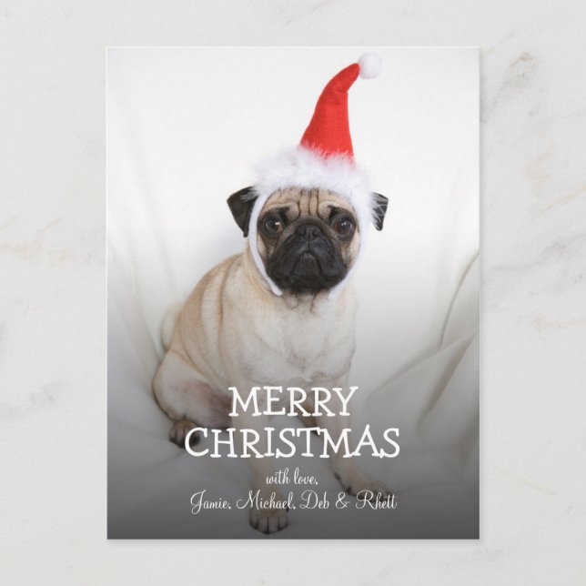 Young pug wearing Santa hat Holiday Postcard (Front)