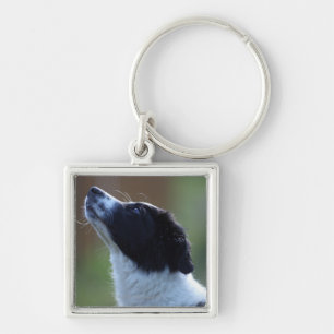 young pup Border Collie Key Ring