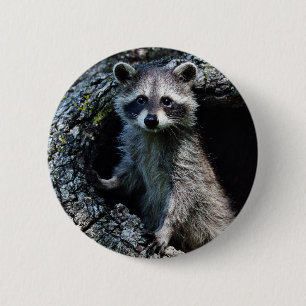Young Racoon 6 Cm Round Badge