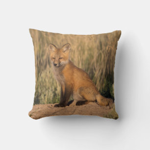 Young Red Fox at Golden Hour Cushion
