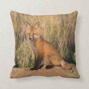 Young Red Fox at Golden Hour Cushion