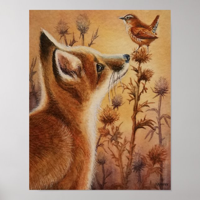 Young Red Fox Carolina Wren Bird Watercolor 11x14  Poster (Front)