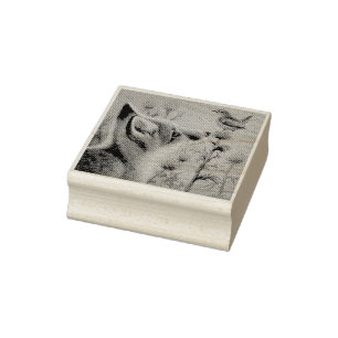 Young Red Fox & Carolina Wren Bird Watercolor Art Rubber Stamp