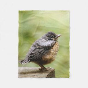 Young Robin Fleece Blanket
