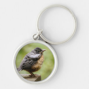 Young Robin Key Ring