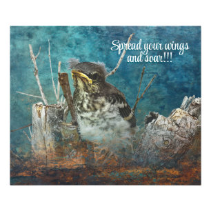 young robin photo enhanced poster