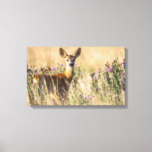 Young Roe Deer in Meadow Canvas Print