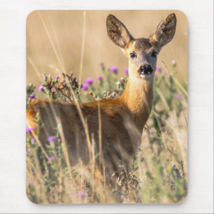 Young Roe Deer in Meadow Mouse Mat