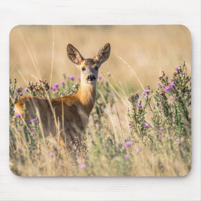 Young Roe Deer in Meadow Mouse Mat (Front)