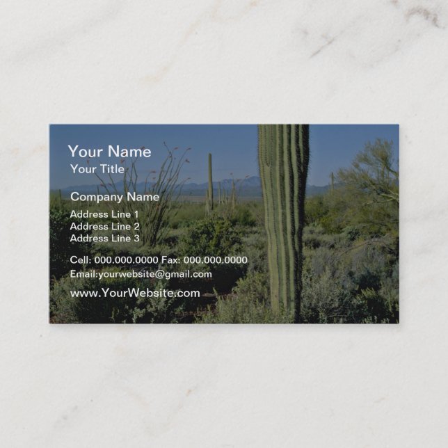 Young Saguaro Cacti, Flowering Ocotillo flowers Business Card (Front)