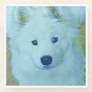 Young Samoyed on glass - coaster