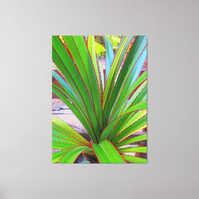 Young Screw Pine Canvas Print (Front)