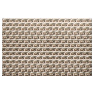 Young sea lion fabric