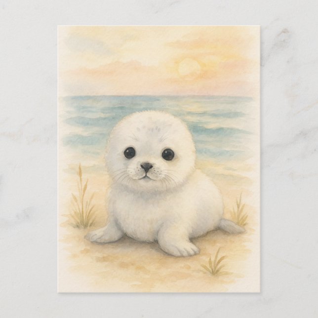Young Seal Baby Wild Animals Postcard (Front)
