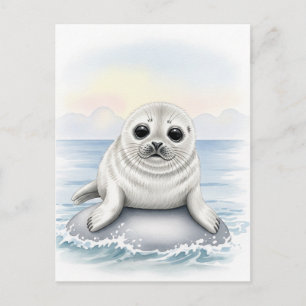Young Seal Baby Wild Animals Postcard