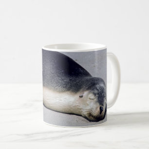 Young seal sleeping on a beach - Australia Coffee Mug