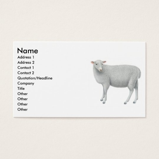 Young Sheepp Business Card