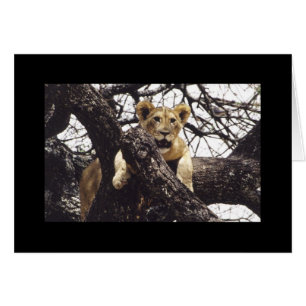 Young Simba