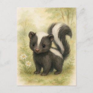 Young Skunk Baby Wild Animals Postcard
