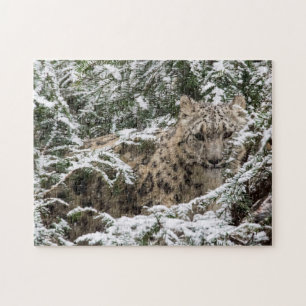 Young Snow Leopard Jigsaw Puzzle
