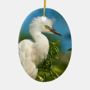 Young Snowy Egret Ornament
