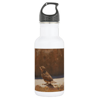 Young Sparrow 532 Ml Water Bottle