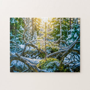 Young spruce growing on old roots jigsaw puzzle