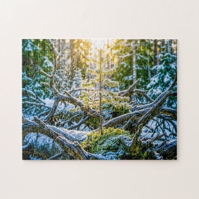 Young spruce growing on old roots jigsaw puzzle (Horizontal)