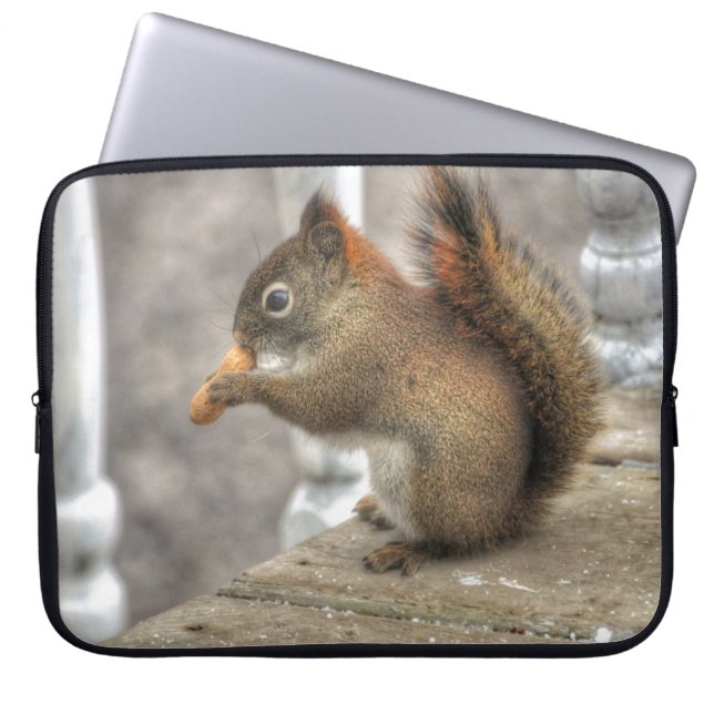 Young Squirrel eating a Peanut Laptop Sleeve (Front)