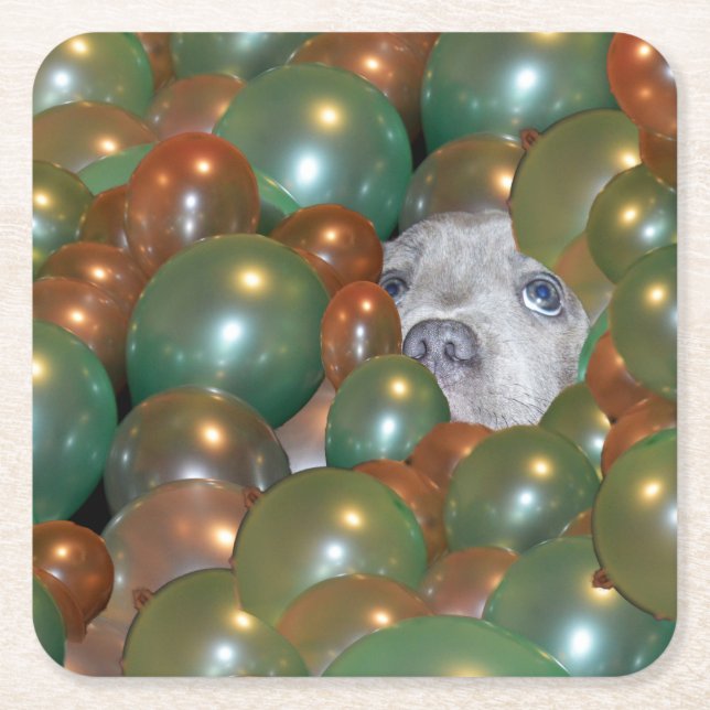 Young Staffy Hiding In Balloons, Paper Coasters (Front)