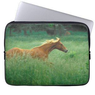 Young Stallion Runs Through Meadow Laptop Sleeve