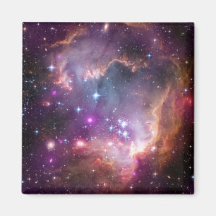 Young Stars In The Small Magellanic Cloud. Magnet