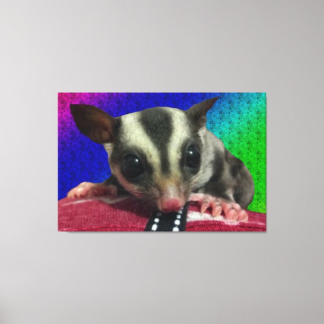 Young Sugar Glider Canvas Print (Front)