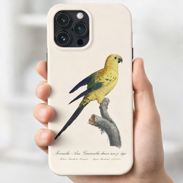 Young Sun Parakeet or Conure Aratinga solstitialis Case-Mate iPhone Case (Guarouba dans sons jeune age / Sun parakeet. iPhone 13 Pro Max Case)