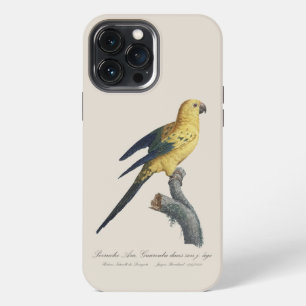 Young Sun Parakeet or Conure Aratinga solstitialis iPhone 13 Pro Max Case