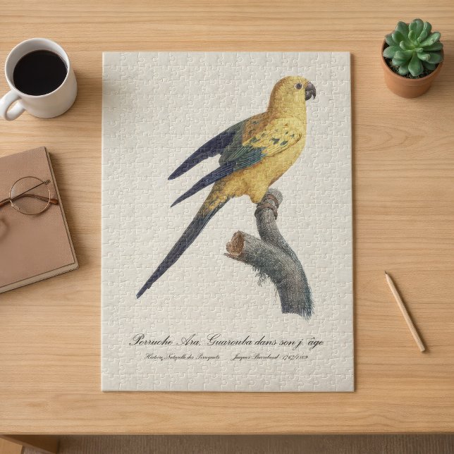 Young Sun Parakeet or Conure Aratinga solstitialis Jigsaw Puzzle (Guarouba dans sons jeune age / Sun parakeet. Jigsaw Puzzle)