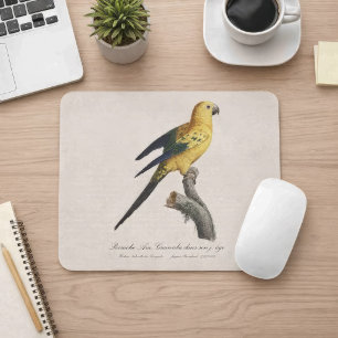 Young Sun Parakeet or Conure Aratinga solstitialis Mouse Mat