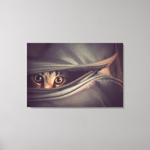 Young Tabby Kitten Canvas Print