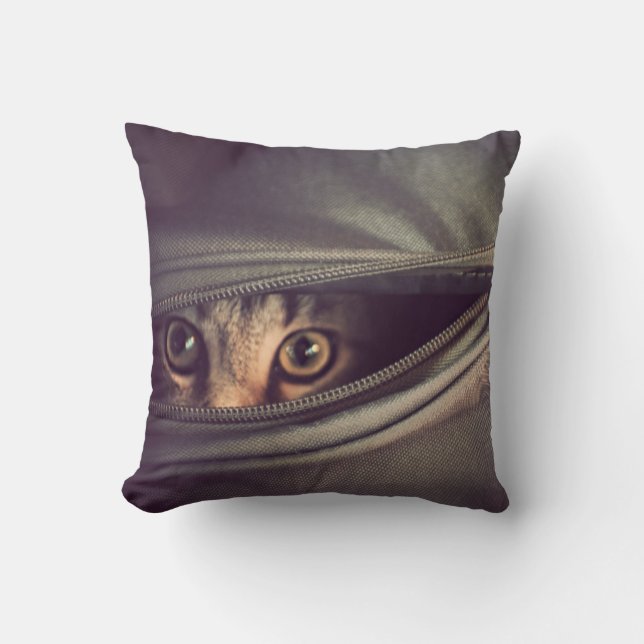 Young Tabby Kitten Cushion (Front)