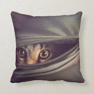 Young Tabby Kitten Cushion