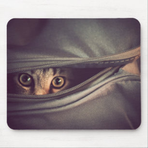 Young Tabby Kitten Mouse Mat