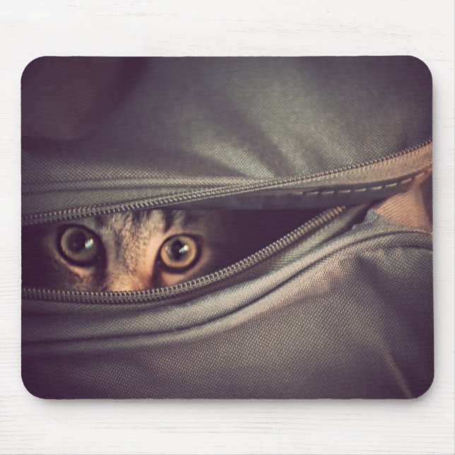 Young Tabby Kitten Mouse Mat (Front)