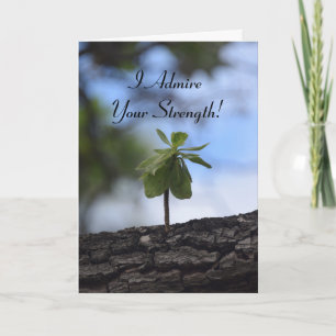 Young Tree Growing out of a Log Holiday Card