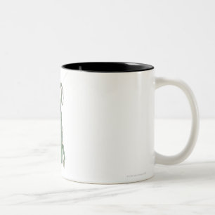 Young veiled chameleon, Chamaeleo calyptratus Two-Tone Coffee Mug