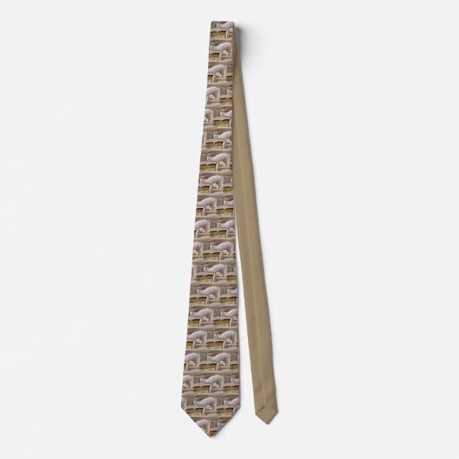 Young white alpaca tie (Front)