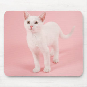 Young white cat 2 mouse mat