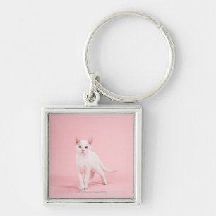 Young white cat key ring